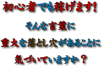 初心者でも稼げます!って本当ですか?