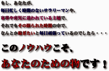 anatanotame01a もし、あなたが忙しくて時間のないサラリーマンや主婦の方でしたら、このノウハウこそあなたのための物です。